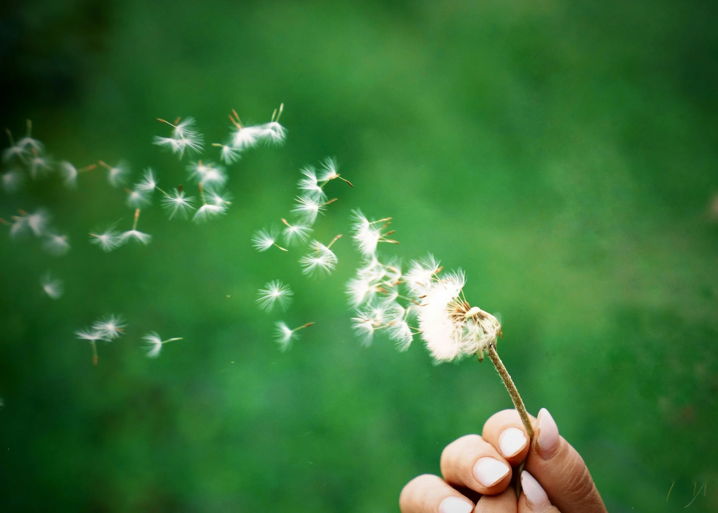 Die katholischen und reformierte Cityseelsorge organisieren aus aktuellem Anlass ein wöchentliches Friedensgebet