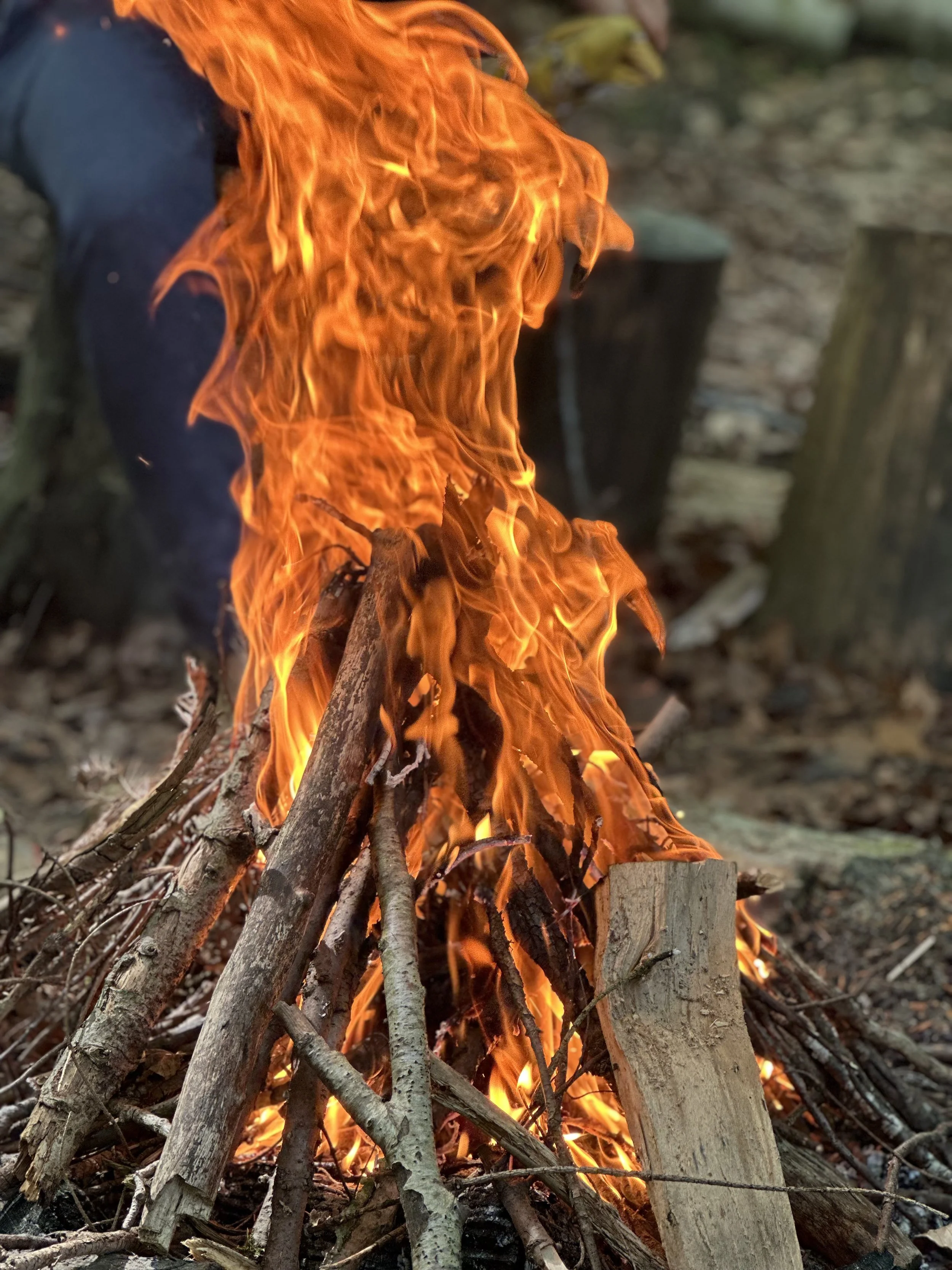 Feuer spielt bei Waldgwunder dem St.Galler Waldkirche-Format der katholischen und reformierten Cityseelsorge St.Gallen eine ganz wichtige Rolle