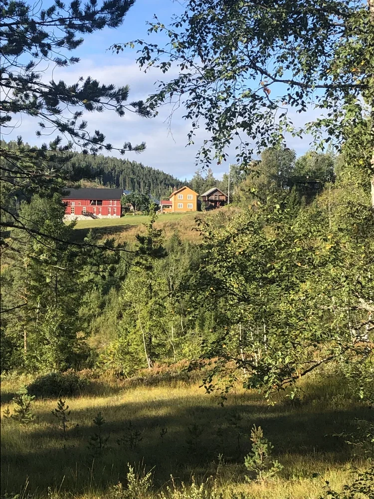 Scenic view of a rural hillside with a mix of trees and houses, including a red house, an orange house, and a dark brown house, under a blue sky with some clouds.