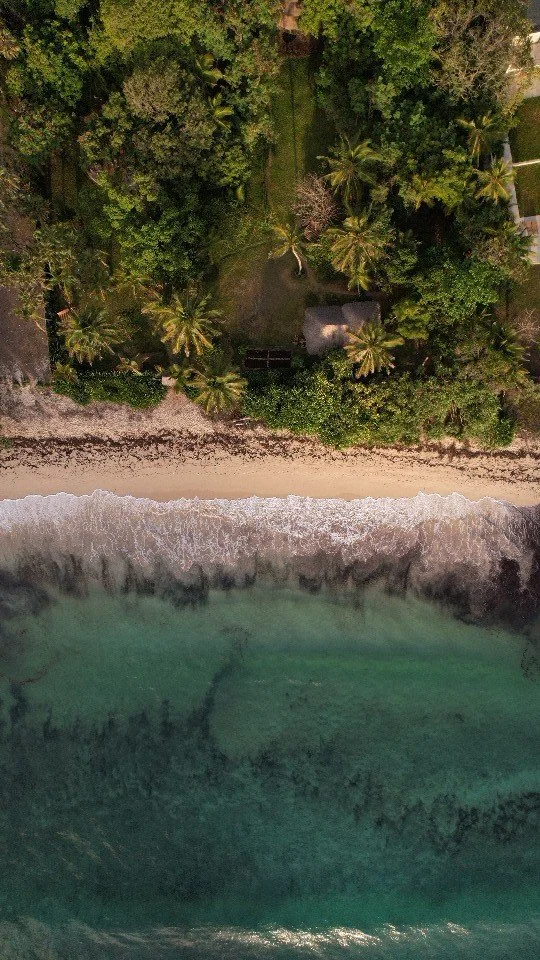 An aerial view of a tropical beach with sandy shore, clear water, and lush green trees and palm trees along the coastline.