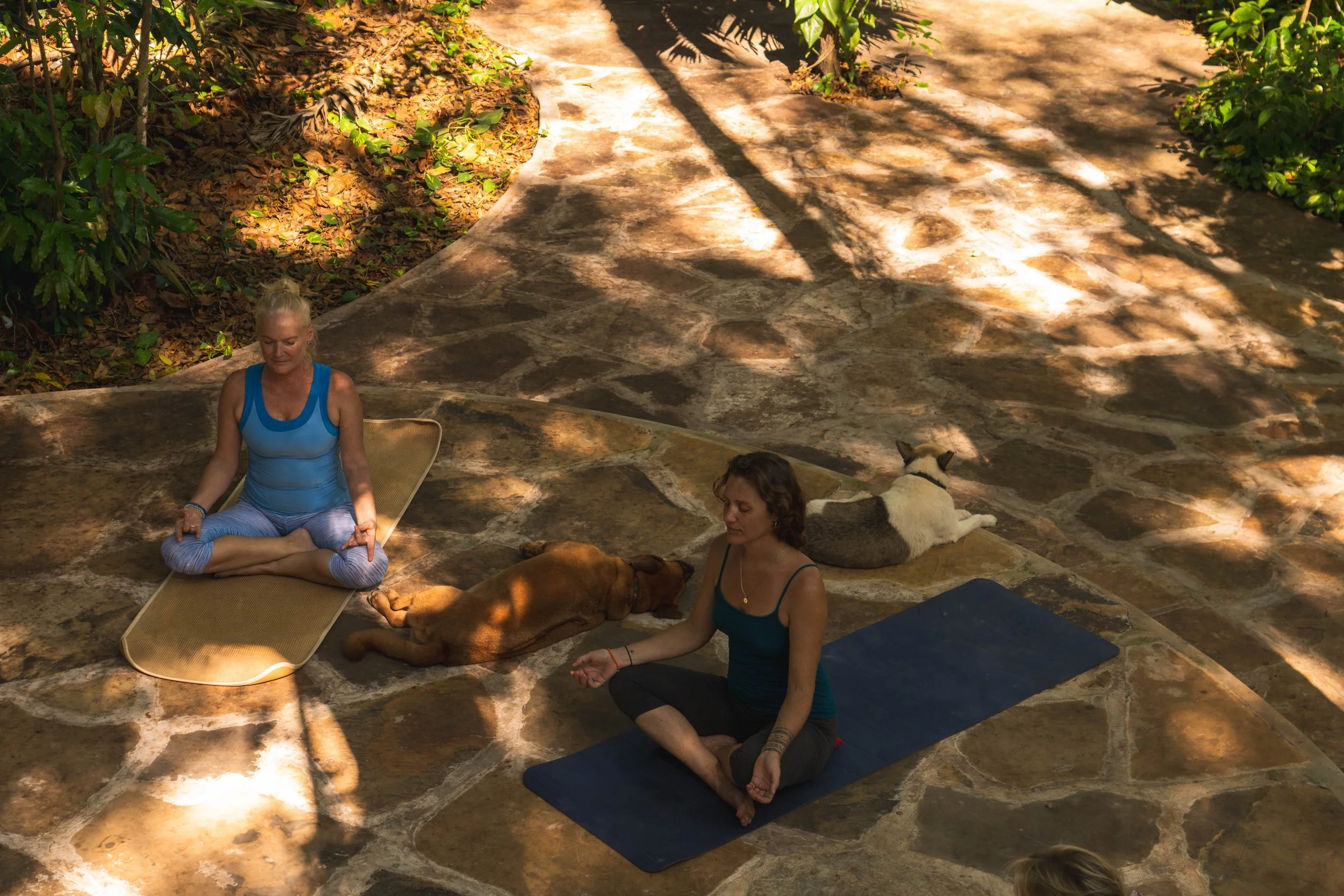 Two women practicing yoga outdoors on stone surface, sitting in seated meditation poses with eyes closed, accompanied by two dogs resting nearby in shaded area surrounded by greenery.