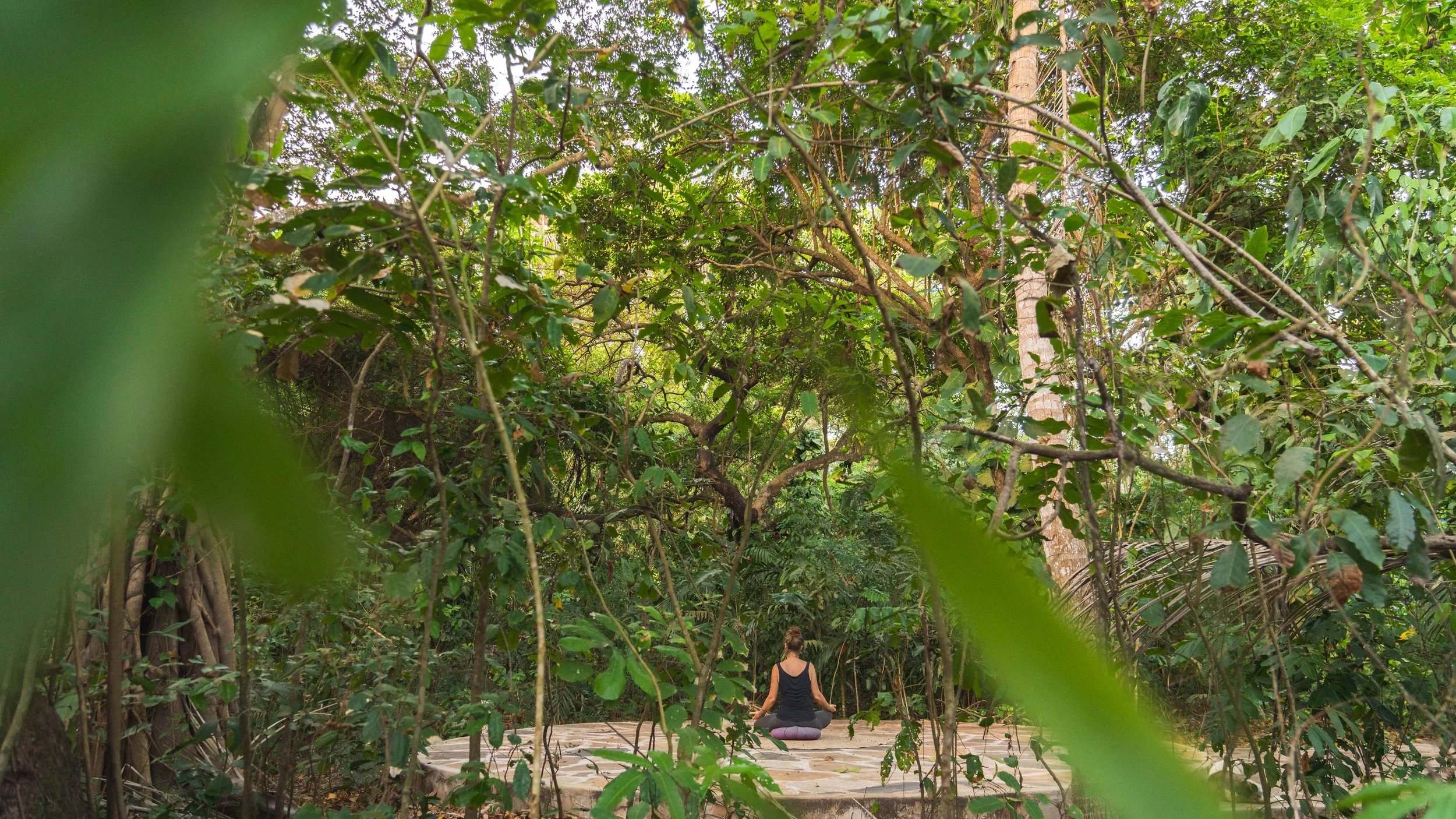 Person practicing yoga or meditation in a lush, green forest, sitting on a wooden platform surrounded by dense trees and foliage.