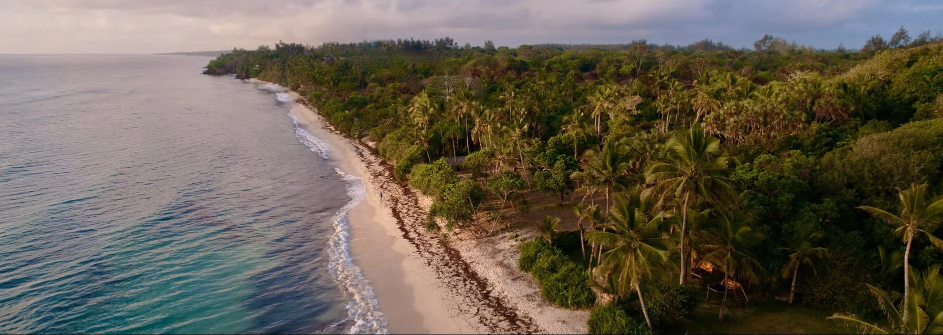 Aerial view of a tropical beach with white sand and turquoise water bordered by dense green jungle of palm trees and tropical vegetation.