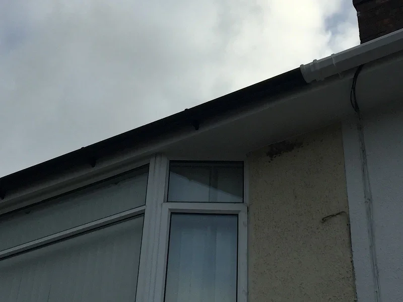Close-up of the upper corner of a house showing part of the roof, gutter, window, and exterior wall under cloudy sky.