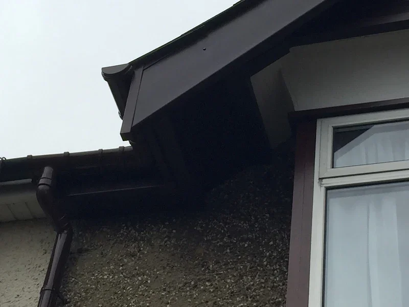 Close-up of the corner of a house roof and window, showing a black gutter system against textured wall with peeling paint.