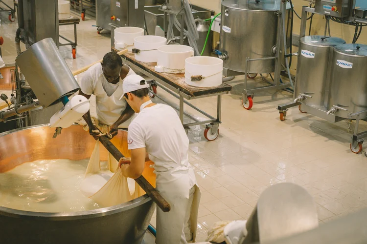 The cheese maker at work