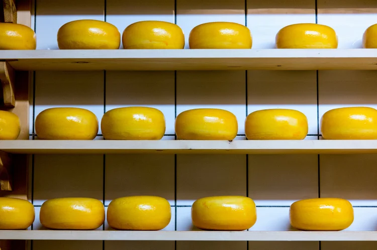 Cheese maturer in a cellar