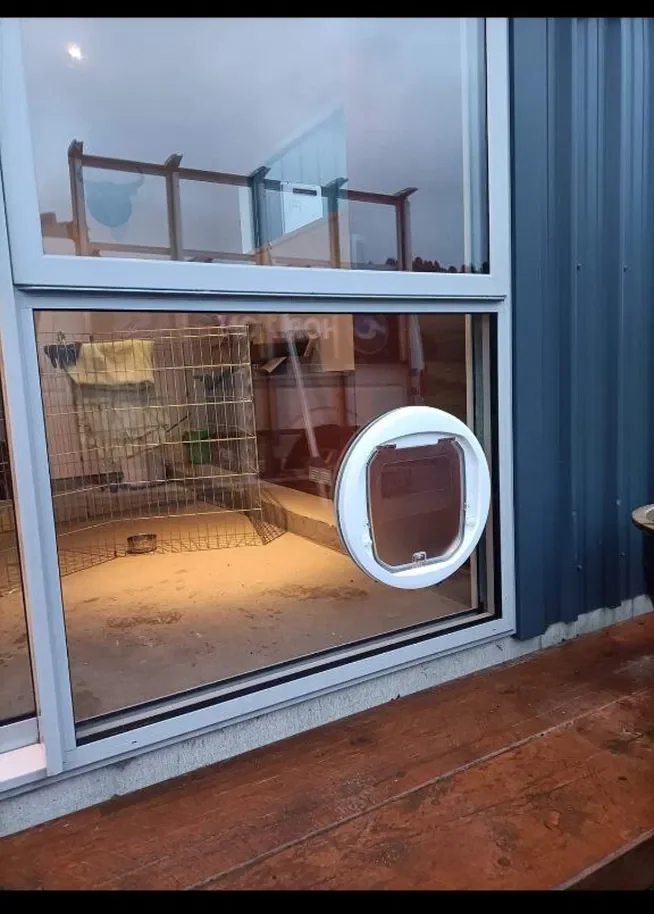 The image shows a glass enclosure with a pet door installed in the lower part of the window. Inside, there are some pet accessories, a small cage, and a food bowl, indicating it is a space for pets to stay or access outdoors.