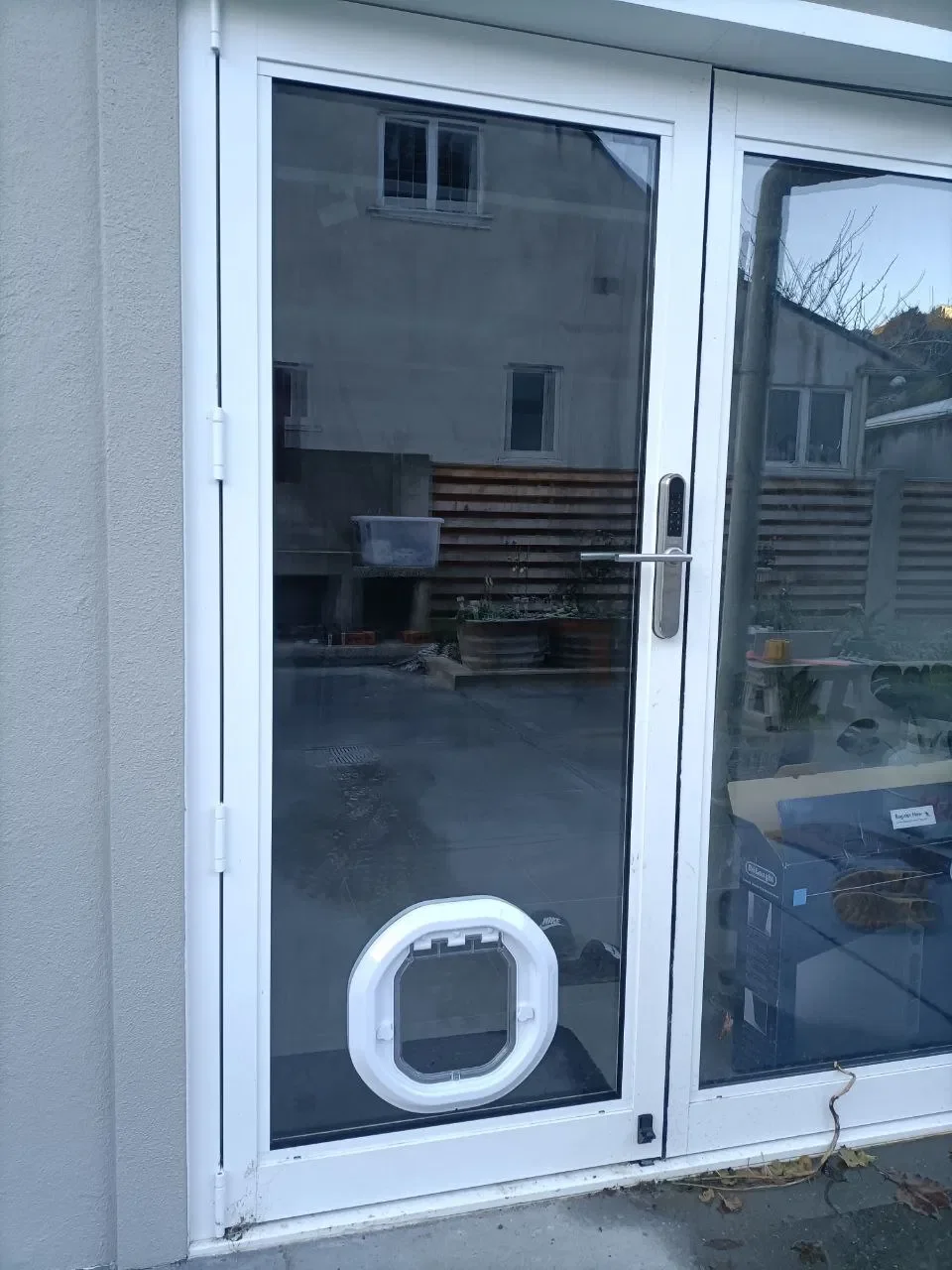 A glass door with a pet door at the bottom, mounted to a building's exterior wall, with reflections of neighboring buildings and a backyard visible in the glass.