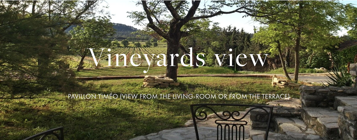 Holiday rental with vineyard views in South of France