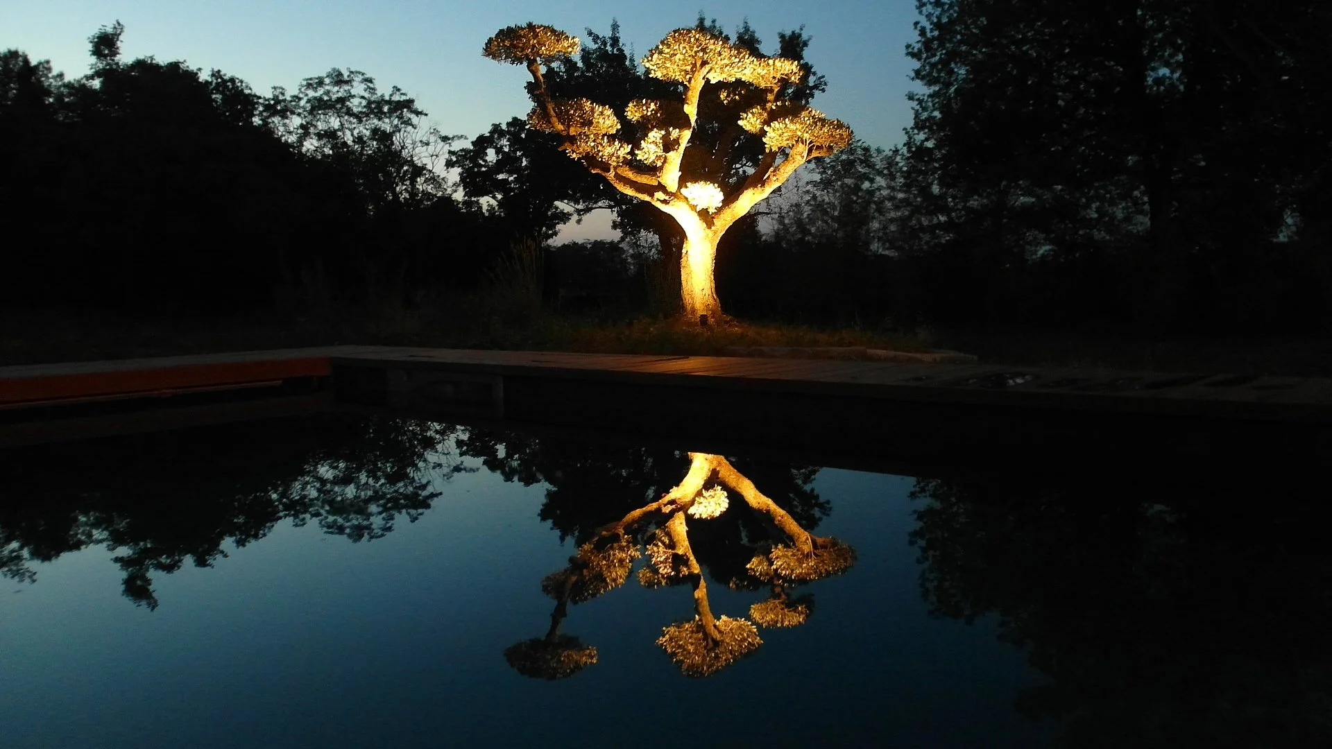 Private Heated Pool in Southern France | Domaine de Monteils