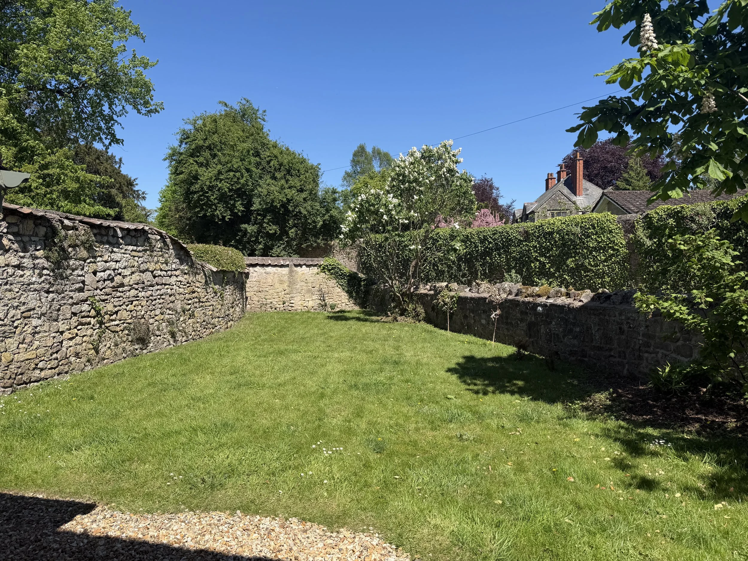 IMG_2196.jpeg