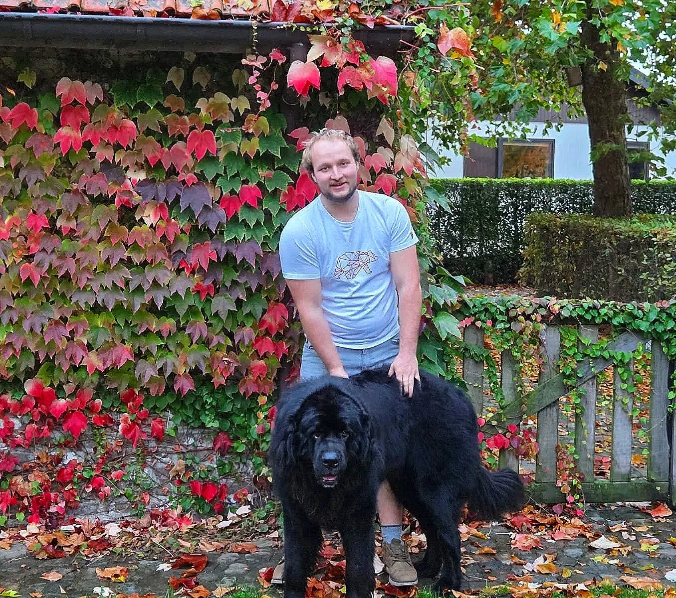 Gus Callewaert H van Koda HvanKoda