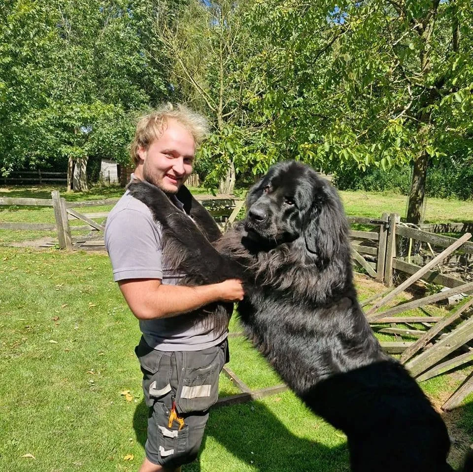 Gus Callewaert H van Koda HvanKoda