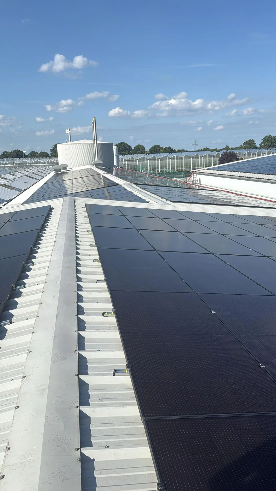 PHOTO-2025-07-17-19-45-17 2.jpg