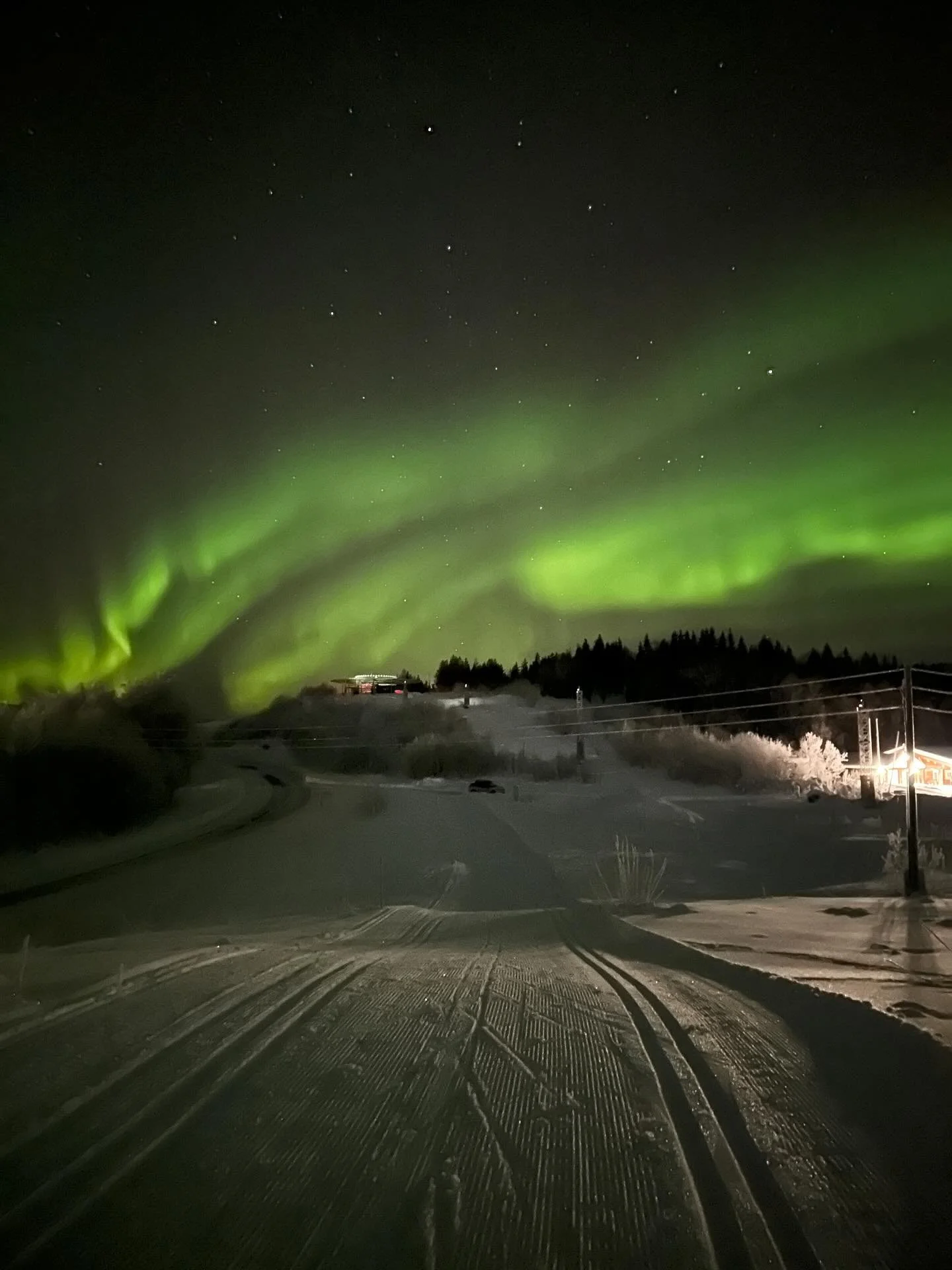 Tonights view💚✨

#skiclassics #winterwonderland #northernlights #crosscountryskiing