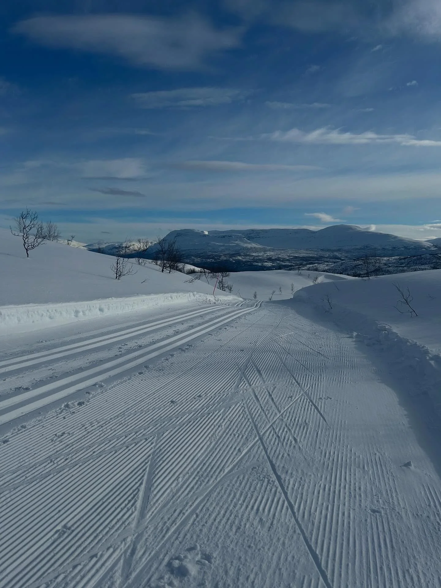 ☃️Vi kan rapportere om gode forhold og mange i arbeid for &aring; f&aring; til to gode l&oslash;p i helgen! @summit2senja 

🤝🏼Det er bare &aring; melde seg p&aring; Reistadl&oslash;pet! 
🎯Meld deg p&aring; her; https://signup.eqtiming.com/arrangem
