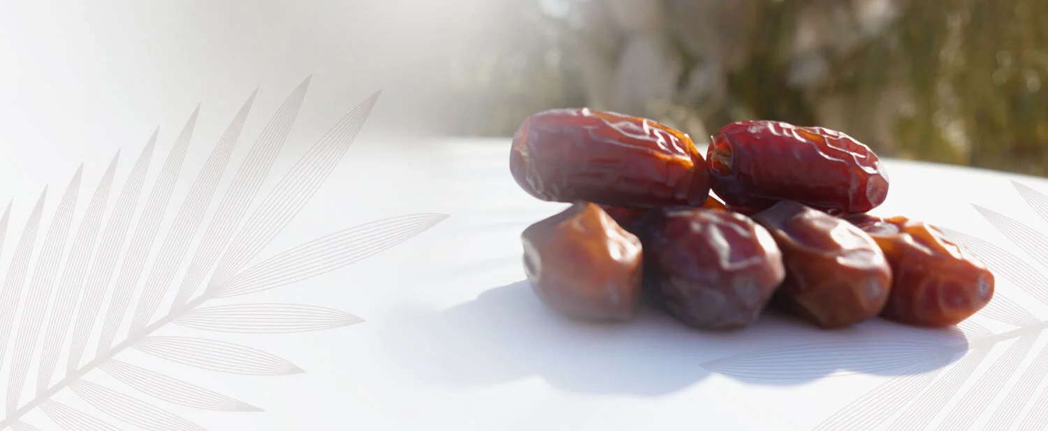 إرث متجذّر في التراب: بدايات مزرعة الدكة العضوية