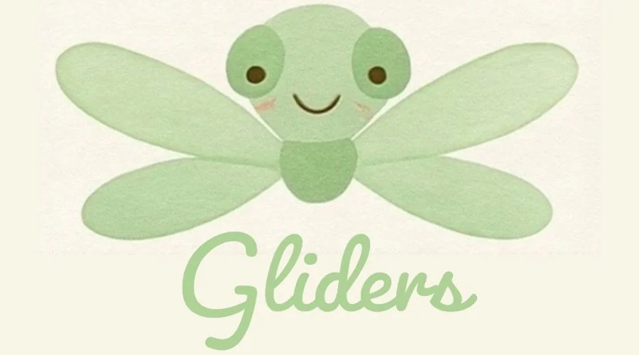Gliders