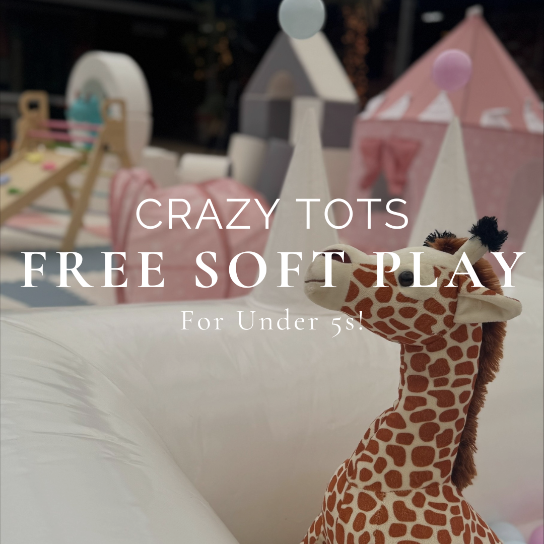 Crazy Tots Soft Play