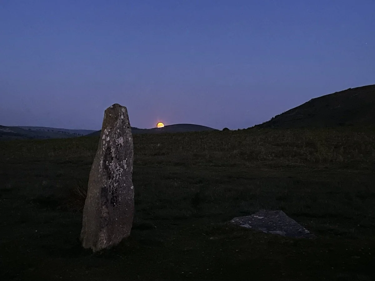 Wildflowers &amp; witchcraft walk 