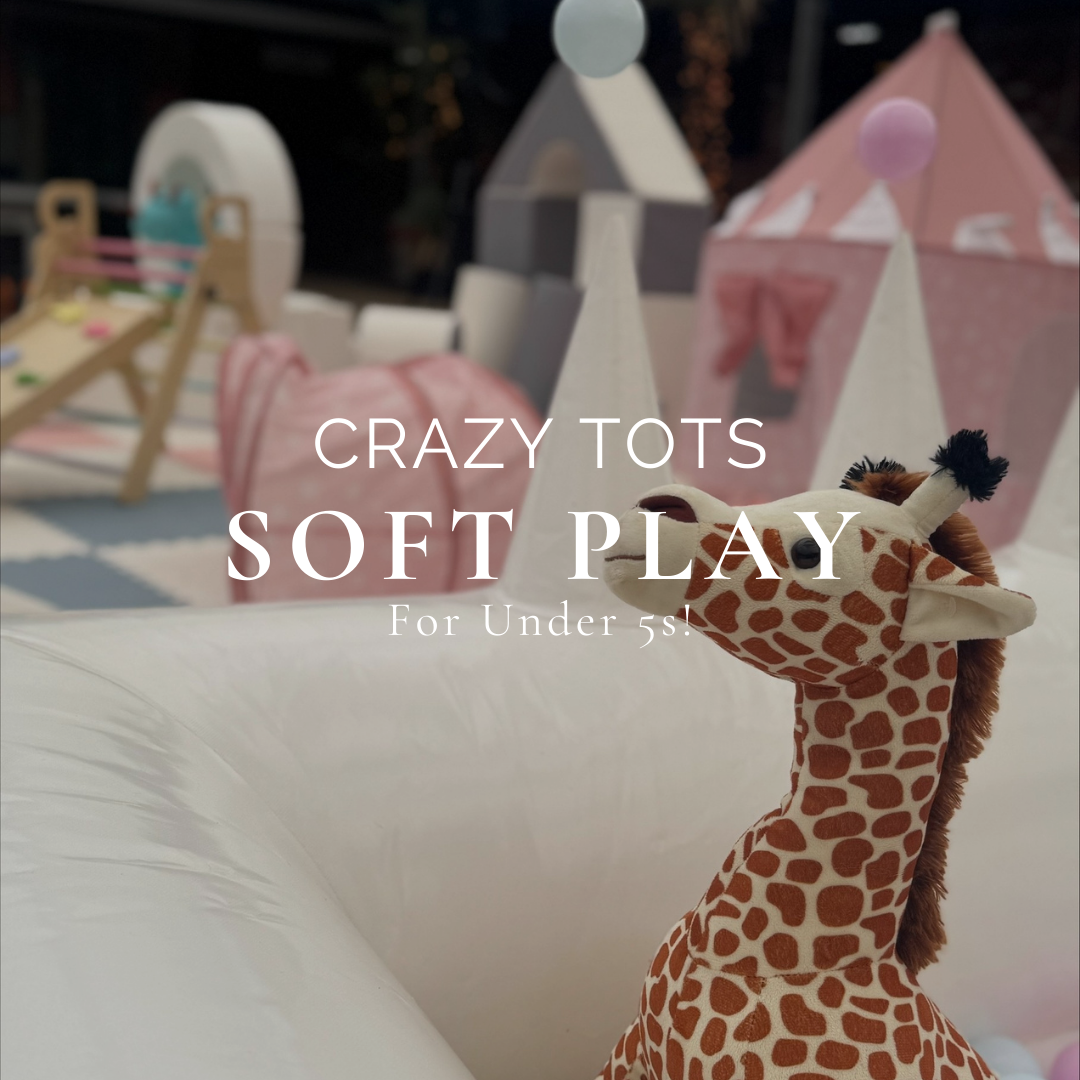 Crazy Tots Soft Play