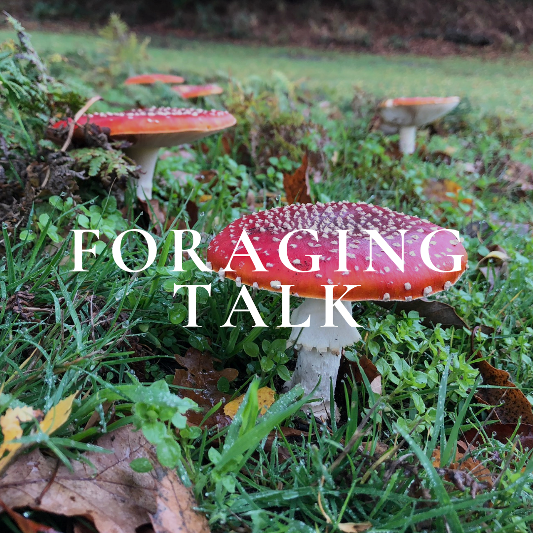 PLANTS OF MURDER, MEDICINE, AND MAGIC TALK