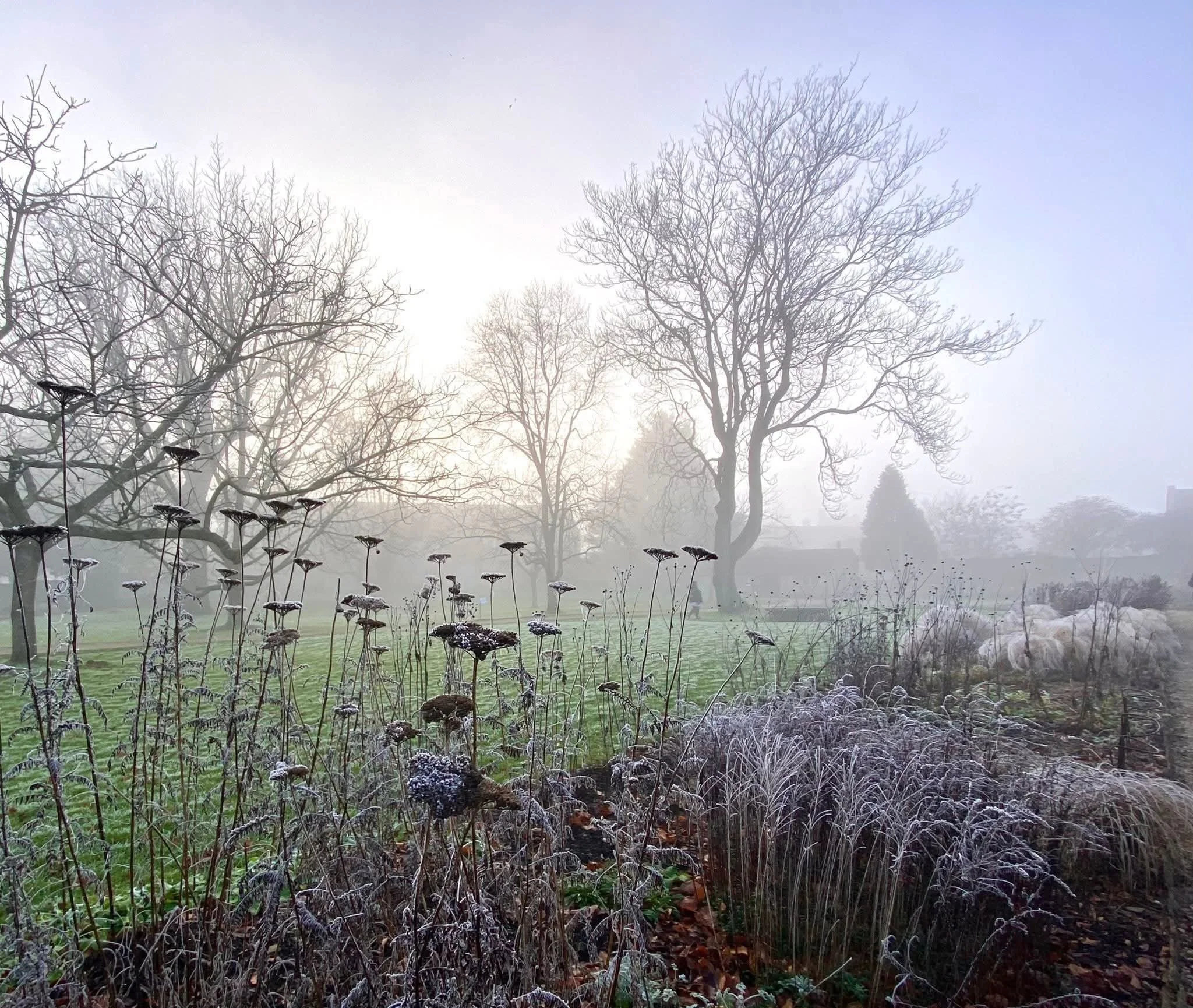 January cutting patch