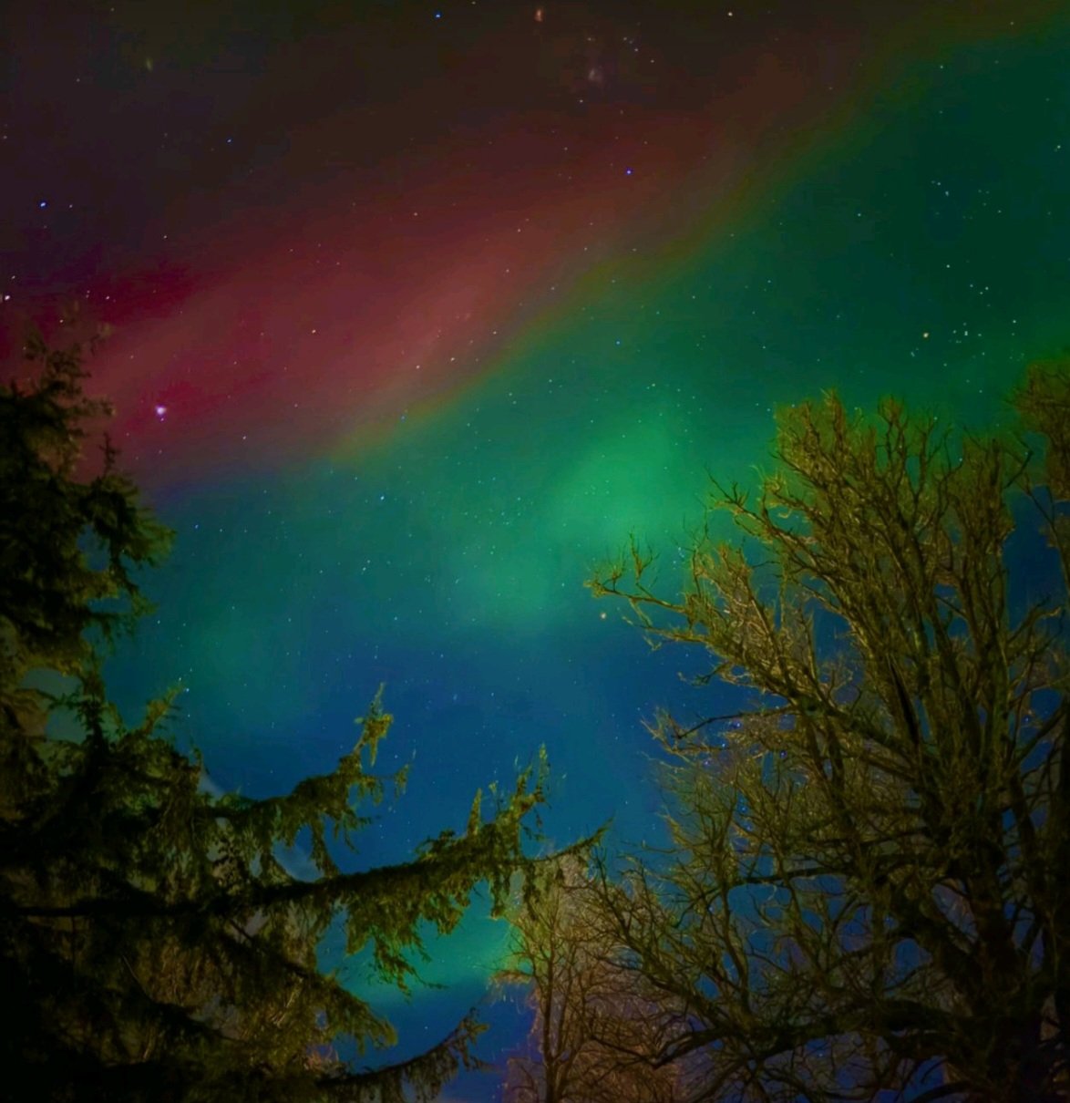 The Sound of Silence