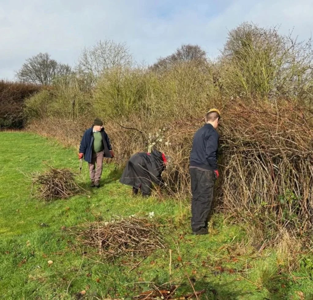 The one about….Community gardening