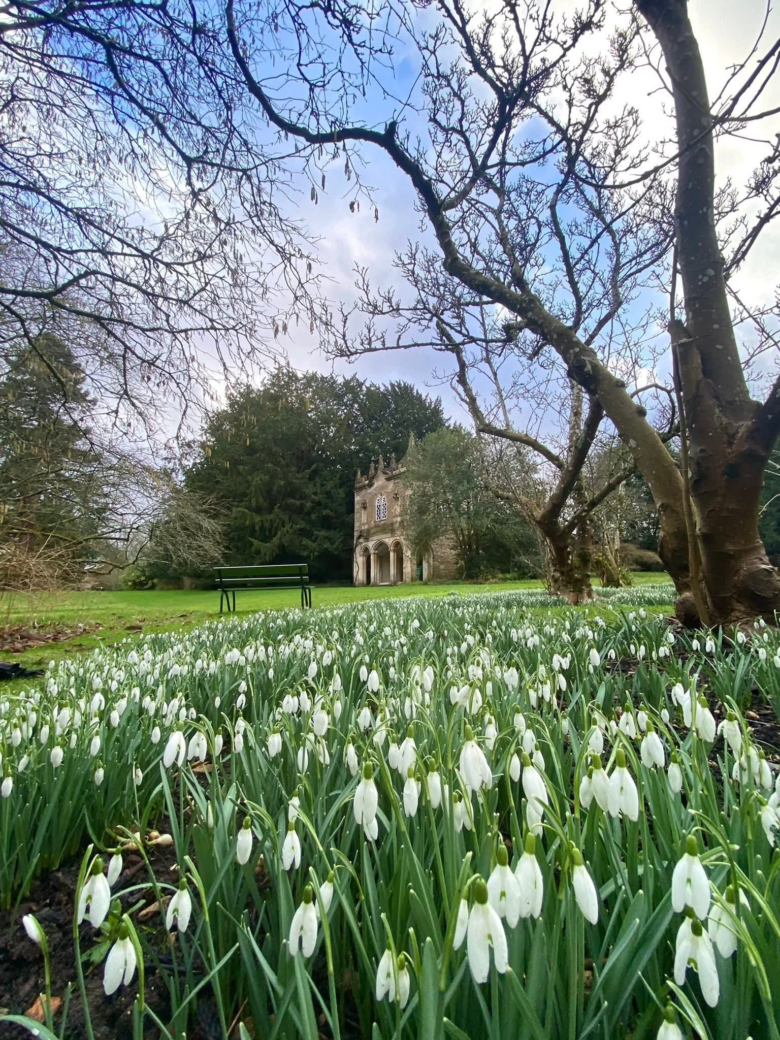 The one about….Half Term Rituals