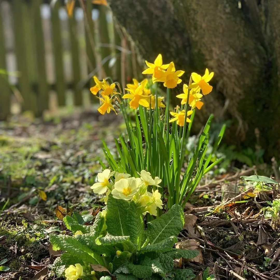 The one about…. The March Cutting Patch