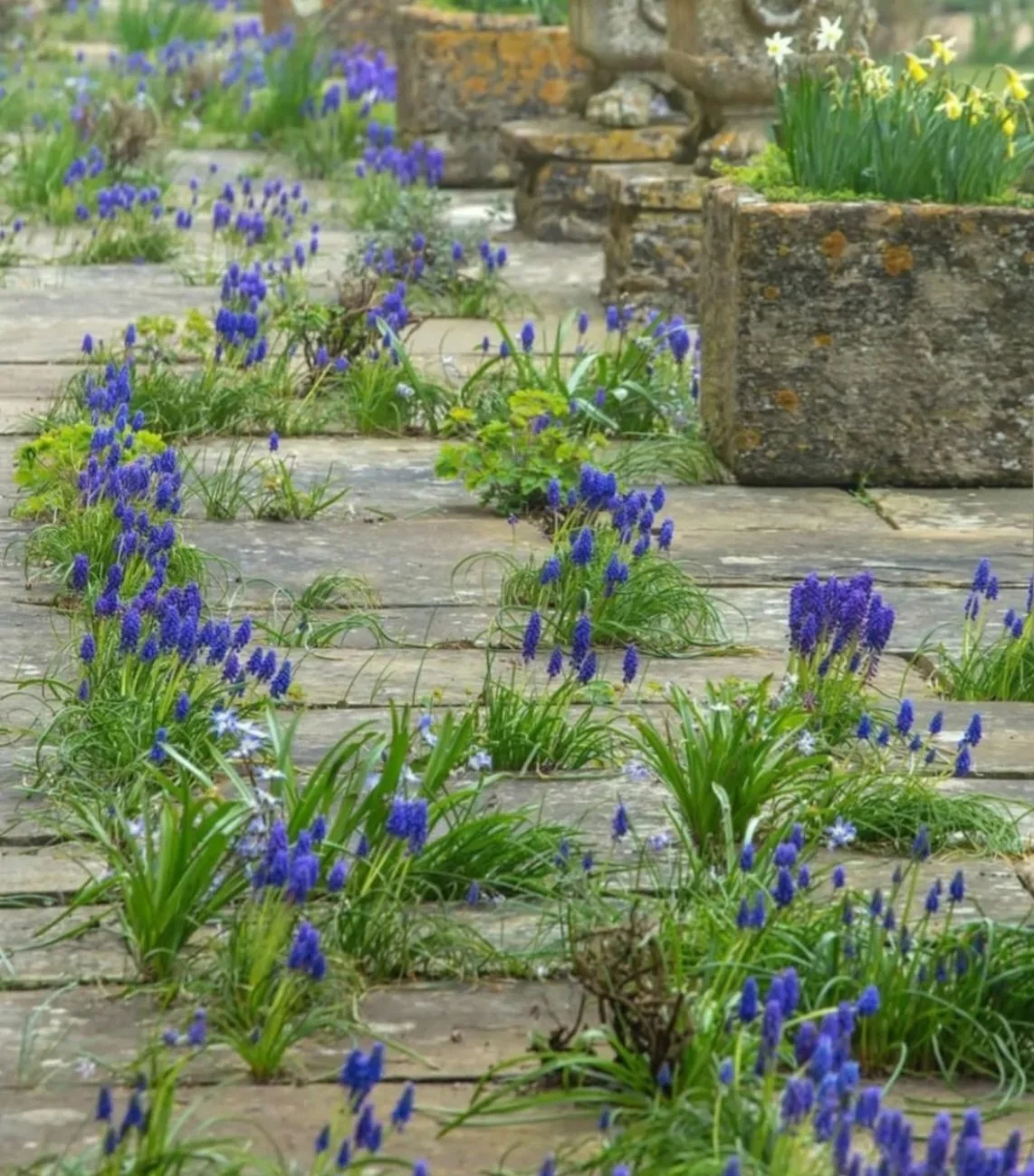 The one about……Mothering