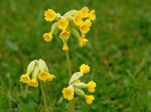 The one about...Leaning into Spring's expansiveness