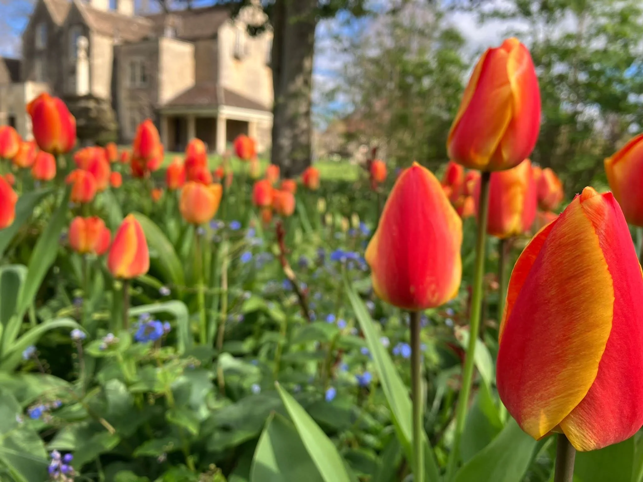 The April Cutting Garden
