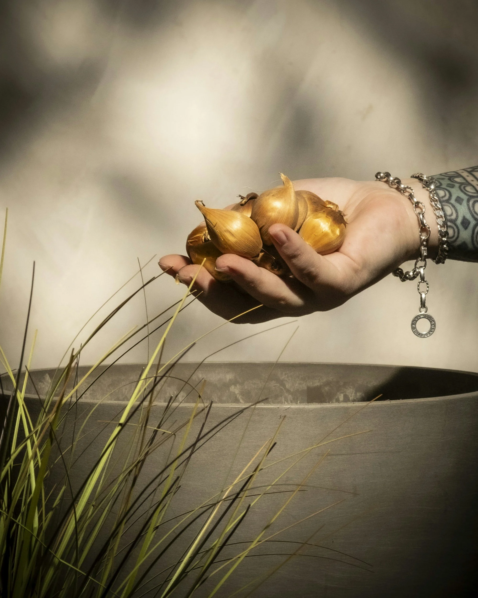Planting hope