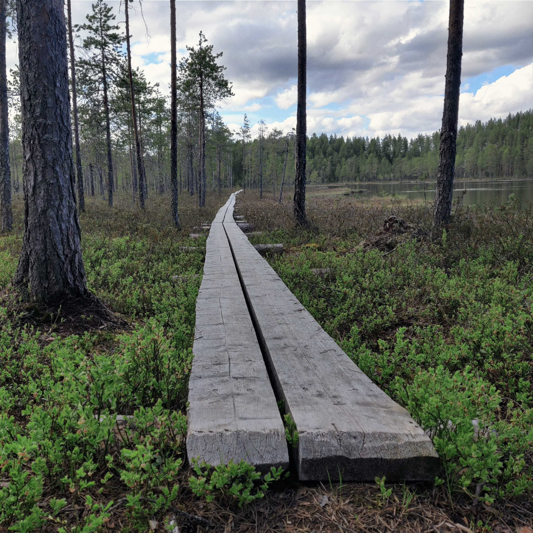 Milanu toimii suomalaisen työelämän hyvinvoinnin ja suorituskyvyn vahvistajana.