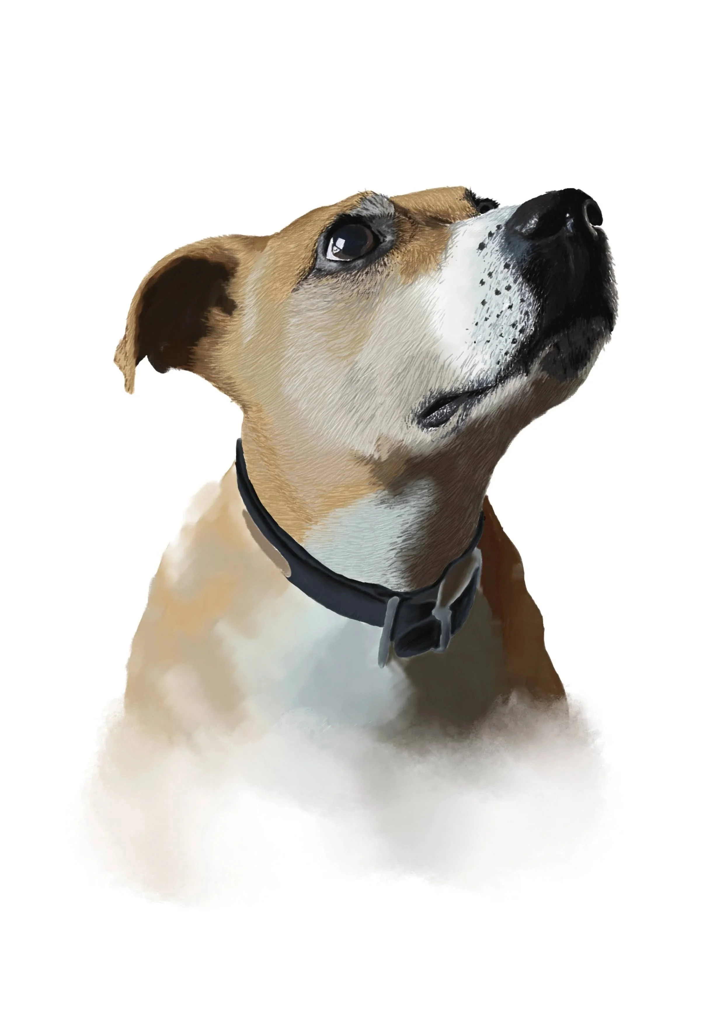 Digital illustrations