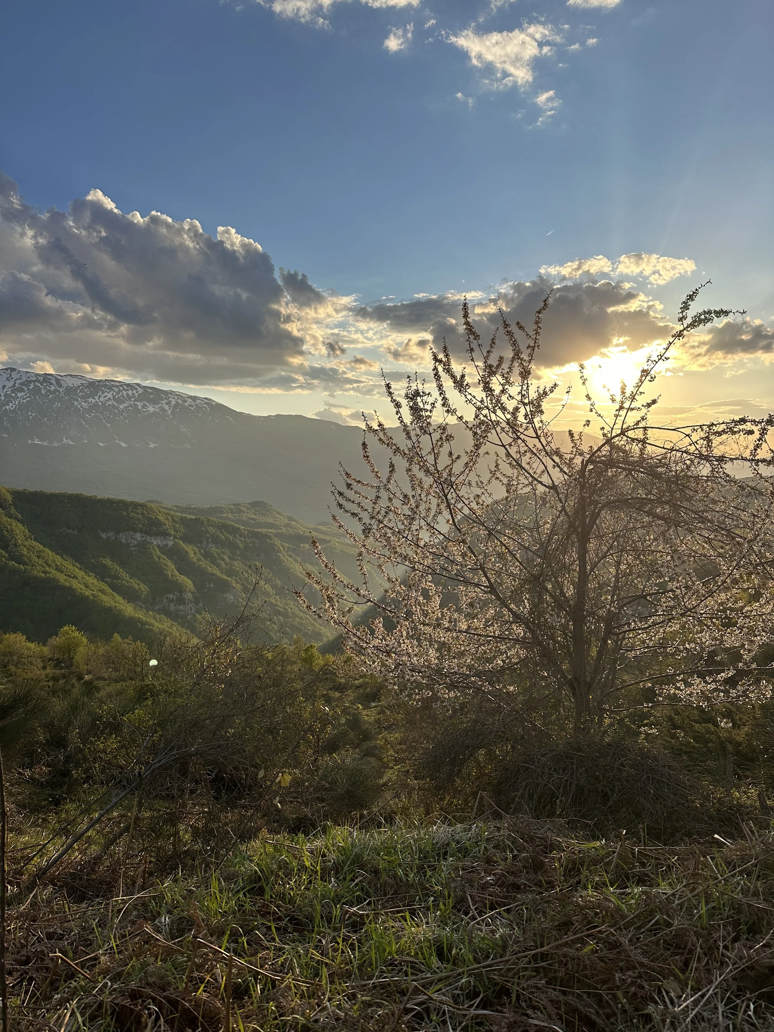 Announcing US Youth World Champs and Continental Champs Teams!