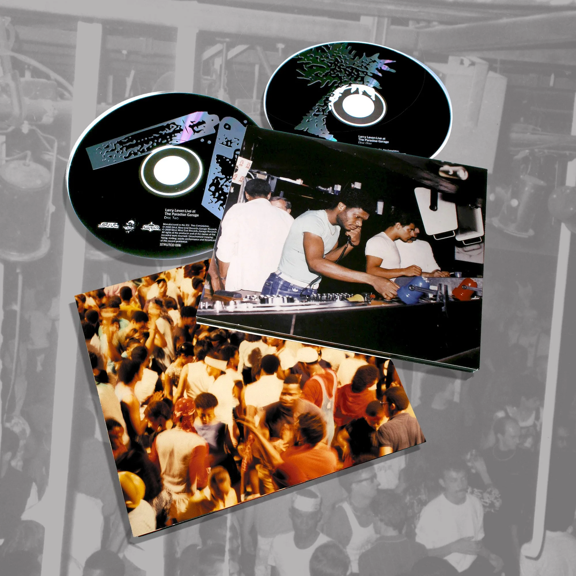 Two DJ CDs with artwork, one showing a tree and the other with abstract design, lying on a photo of a DJ performing at a club or party, with a crowd of people dancing in the foreground.