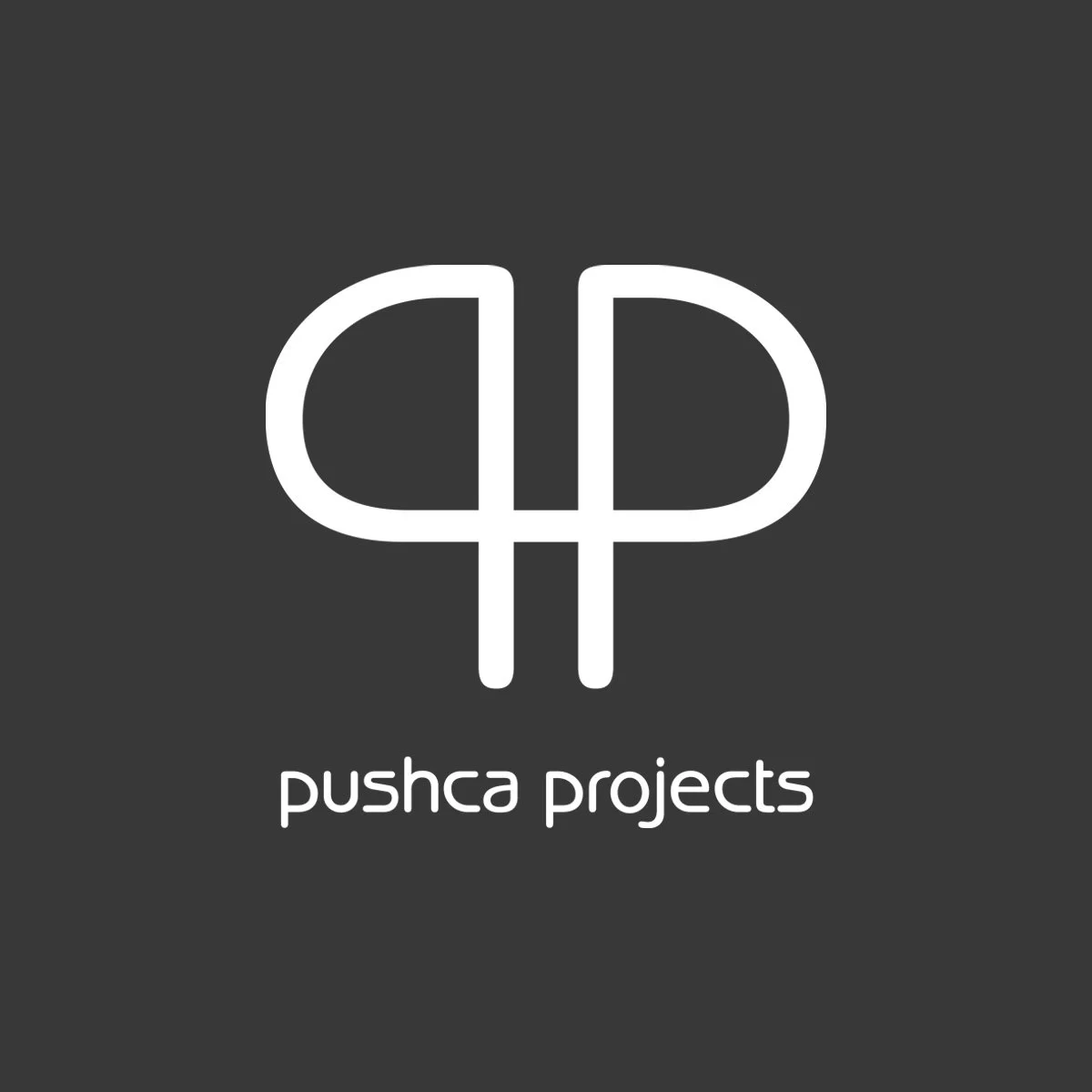 Black background with a white logo resembling a stylized 'PP' stacked together, and the text 'pushca projects' below in lowercase.