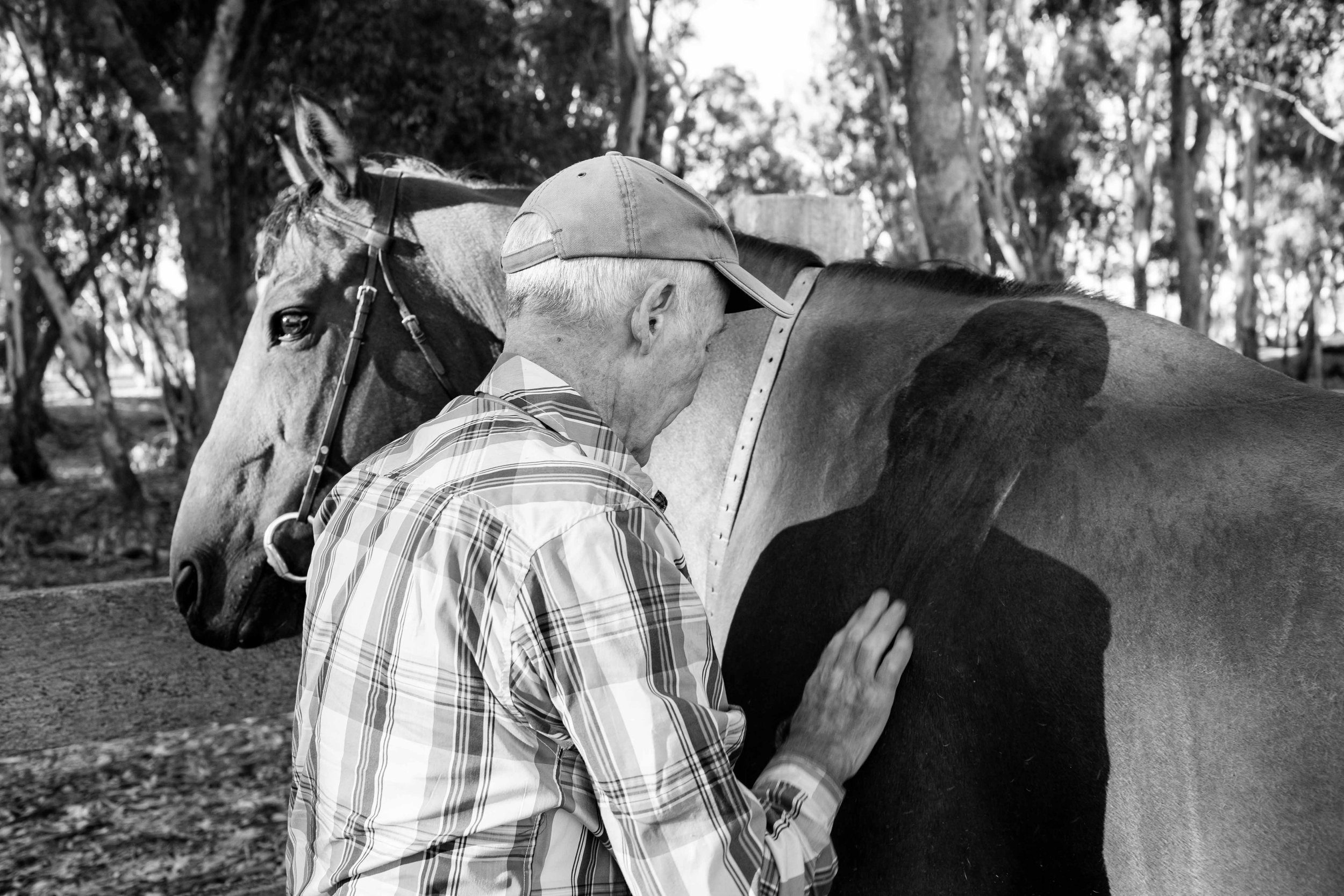 Horse healer Graeme Padgett, Victoria, Australia