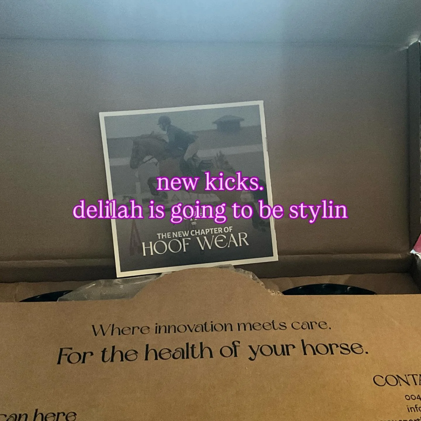 New kicks for Delilah. These lovelies are coming in from Austria. We will see how they manage mud season and give you all an update.