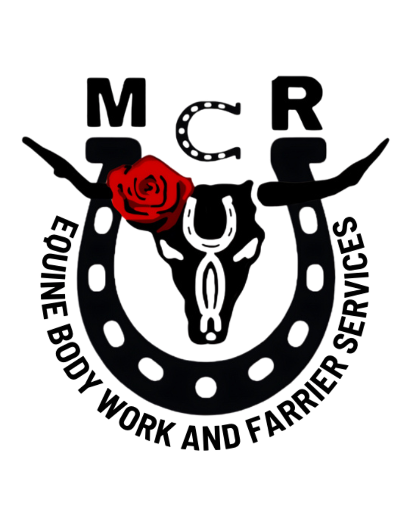 Misfit Cowgirls Ranch Equine Services