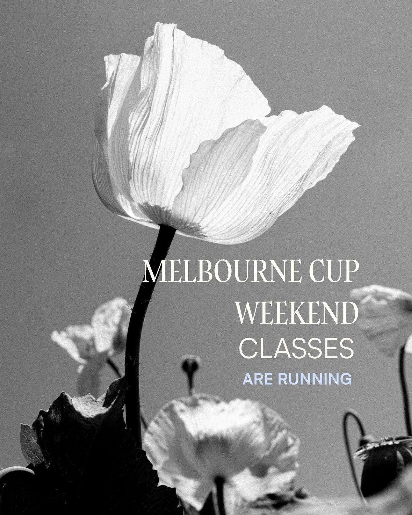 ✨ CMS scheduled classes will be running as per normals over the cup weekend including the Tuesday evening classes.