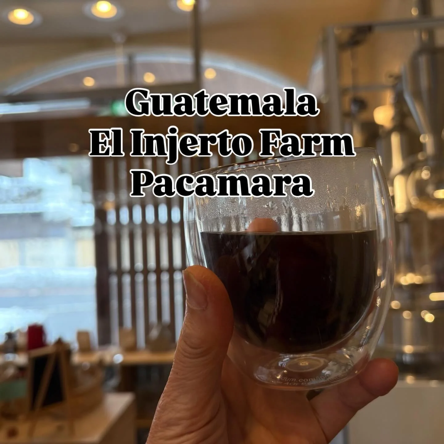 初めてグアテマラのコーヒー豆を入手して、今日早速焙煎、テイスティングしてみました！

グアテマラ　エルインヘルト農園のパカマラ種。これまた最高級レベルの豆なので、ドキドキ、ワクワク。

まずは中煎り(high roast)で。
美味しーい！！！
調べた説明文には、「メロンのような王国の香り」とありましたが、確かに上品なフルーティな香り！
コーヒー勉強歴が比較的浅い私ですが、コロンビアでは無い南米(ブラジル、ニカラグア等)のシャープな口当たりといい感じの苦味を持ちながら、この豆の独特な優雅な香りが