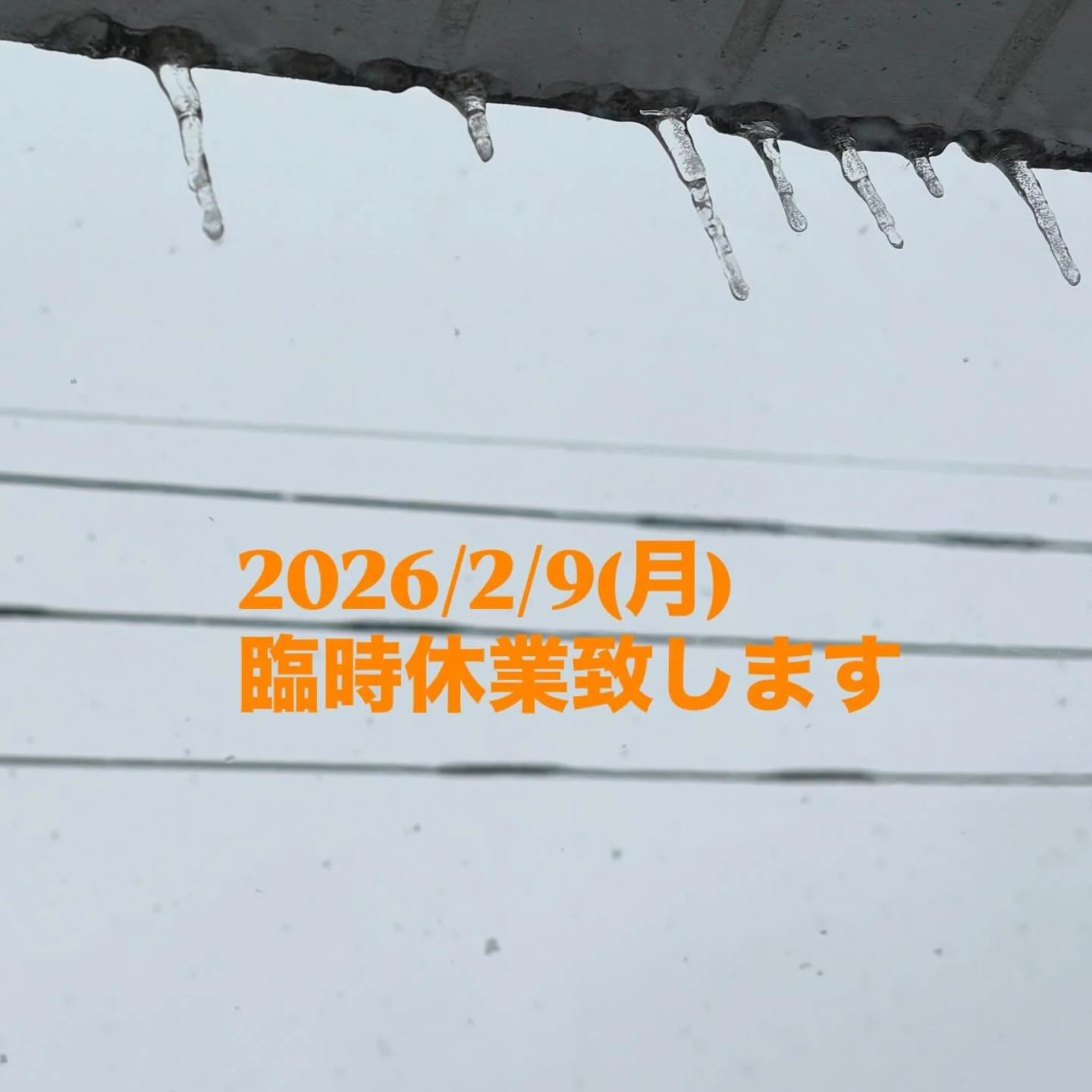 2026/2/9(月)臨時休業とさせて頂きます。
2026/2/10(火)は通常営業8:00-15:00の予定です。
また月曜日の振替営業日として、2/13(金)8:00-15:00営業します。

今年の冬は臨時休業が多くてごめんなさい🙏🙇
どうぞ暖かくして、楽しい日々をお過ごし下さい💖