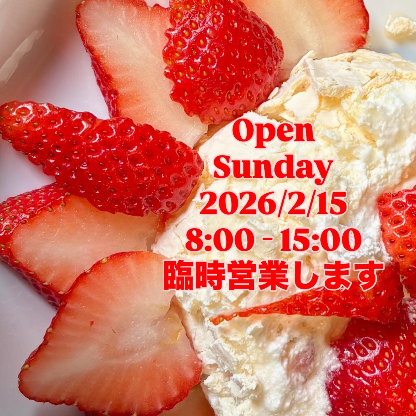 2026/2/15 (日) 8:00 - 15:00
臨時営業します。
暖かい日曜日。
海を眺めながら自分時間をどうぞ。

#天橋立スペシャルティコーヒー #天橋立海の見えるカフェ　#天橋立モーニング #コーヒー焙煎所