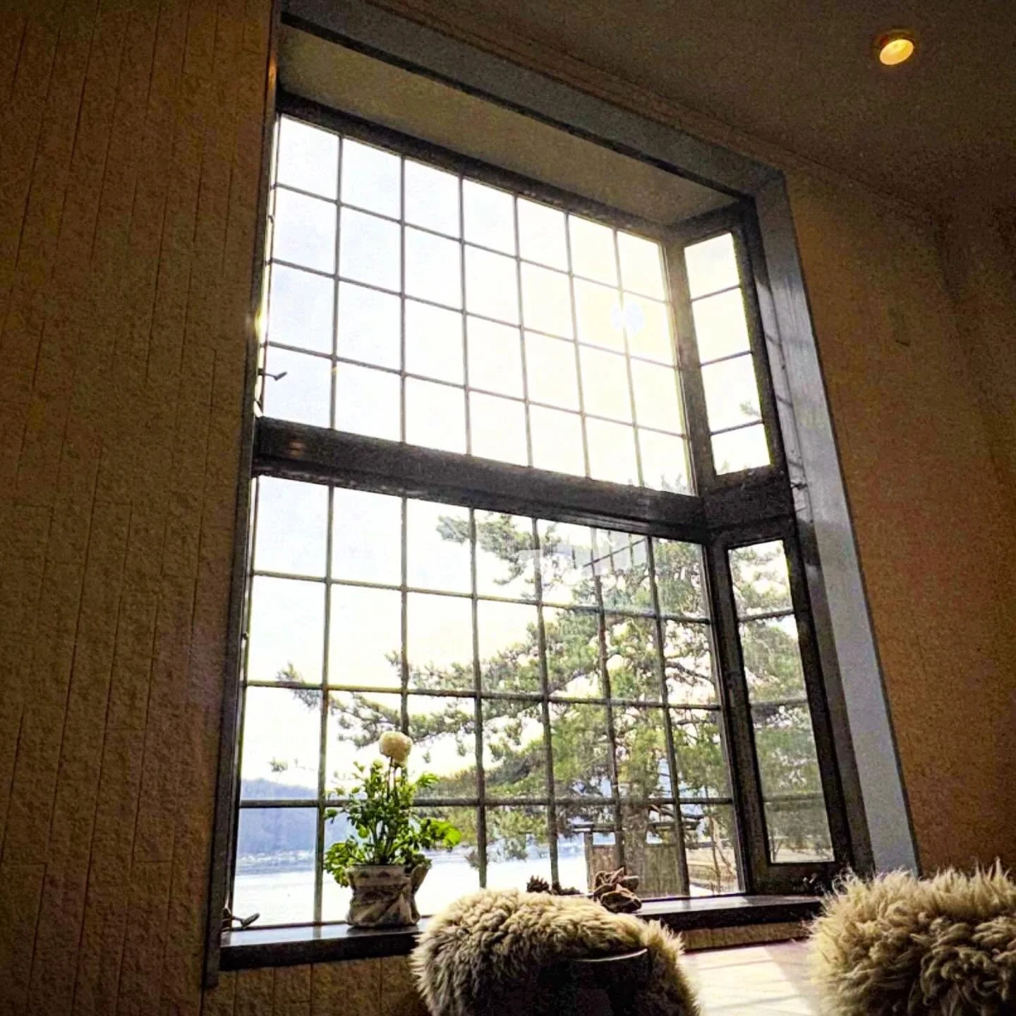 Project Kobo Placeの朝の窓からの風景は毎日違います。
毎日違って毎日美しい。

#モーニングカフェ #天橋立スペシャルティコーヒー #天橋立海の見えるカフェ #ホームメイドクッキング