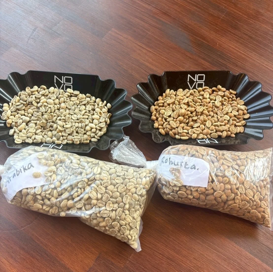 与謝野町のカオリさんが、インドネシア、ロンボク島のお知り合いのコーヒー農家さんと私達を繋いで下さっています。今回、直接サンプルの生豆を持って来て下さいました。

豆農家のWayan（ワヤン）さんのお父様が育ててくれた一番高いクオリティの高いロブスタとアラビカ豆です。
ロブスタはアラビカに比べて味と香りは劣ると言われてきましたが、昨今ロブスタもレベルアップして来ています。
Wayan さんのコーヒー農園は、標高3726mのRinjani 山の麓の村(標高1000m)にあるバリ人の村Kampun b